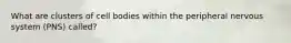What are clusters of cell bodies within the peripheral nervous system (PNS) called?