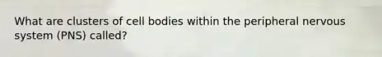 What are clusters of cell bodies within the peripheral nervous system (PNS) called?