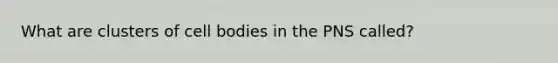 What are clusters of cell bodies in the PNS called?