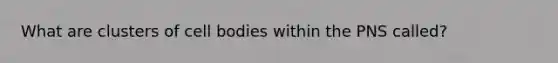 What are clusters of cell bodies within the PNS called?