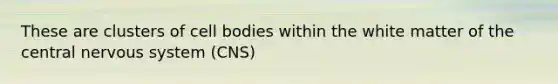 These are clusters of cell bodies within the white matter of the central nervous system (CNS)
