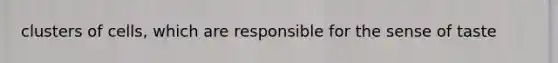 clusters of cells, which are responsible for the sense of taste