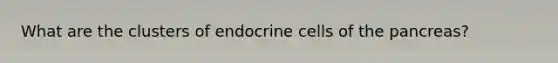 What are the clusters of endocrine cells of the pancreas?