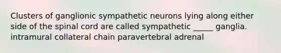 Clusters of ganglionic sympathetic neurons lying along either side of the spinal cord are called sympathetic _____ ganglia. intramural collateral chain paravertebral adrenal