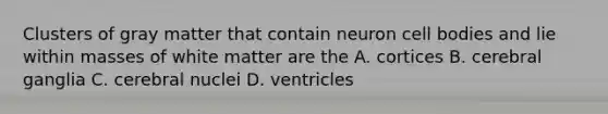 Clusters of gray matter that contain neuron cell bodies and lie within masses of white matter are the A. cortices B. cerebral ganglia C. cerebral nuclei D. ventricles