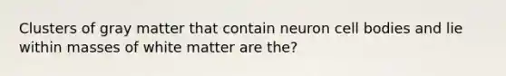 Clusters of gray matter that contain neuron cell bodies and lie within masses of white matter are the?