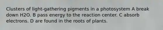 Clusters of light-gathering pigments in a photosystem A break down H2O. B pass energy to the reaction center. C absorb electrons. D are found in the roots of plants.