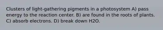 Clusters of light-gathering pigments in a photosystem A) pass energy to the reaction center. B) are found in the roots of plants. C) absorb electrons. D) break down H2O.