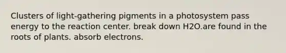 Clusters of light-gathering pigments in a photosystem pass energy to the reaction center. break down H2O.are found in the roots of plants. absorb electrons.