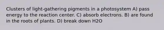 Clusters of light-gathering pigments in a photosystem A) pass energy to the reaction center. C) absorb electrons. B) are found in the roots of plants. D) break down H2O