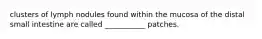 clusters of lymph nodules found within the mucosa of the distal small intestine are called ___________ patches.