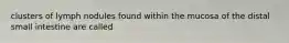 clusters of lymph nodules found within the mucosa of the distal small intestine are called