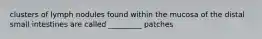 clusters of lymph nodules found within the mucosa of the distal small intestines are called _________ patches