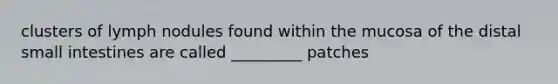 clusters of lymph nodules found within the mucosa of the distal small intestines are called _________ patches