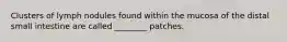 Clusters of lymph nodules found within the mucosa of the distal small intestine are called ________ patches.