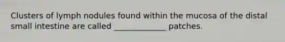 Clusters of lymph nodules found within the mucosa of the distal small intestine are called _____________ patches.