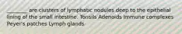 ________ are clusters of lymphatic nodules deep to the epithelial lining of the small intestine. Tonsils Adenoids Immune complexes Peyer's patches Lymph glands