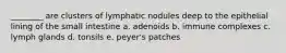 ________ are clusters of lymphatic nodules deep to the epithelial lining of the small intestine a. adenoids b. immune complexes c. lymph glands d. tonsils e. peyer's patches