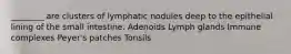 ________ are clusters of lymphatic nodules deep to the epithelial lining of the small intestine. Adenoids Lymph glands Immune complexes Peyer's patches Tonsils