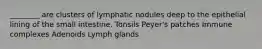 ________ are clusters of lymphatic nodules deep to the epithelial lining of the small intestine. Tonsils Peyer's patches Immune complexes Adenoids Lymph glands