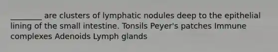 ________ are clusters of lymphatic nodules deep to the epithelial lining of the small intestine. Tonsils Peyer's patches Immune complexes Adenoids Lymph glands