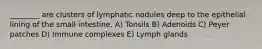 ________ are clusters of lymphatic nodules deep to the epithelial lining of the small intestine. A) Tonsils B) Adenoids C) Peyer patches D) Immune complexes E) Lymph glands