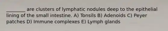 ________ are clusters of lymphatic nodules deep to the epithelial lining of the small intestine. A) Tonsils B) Adenoids C) Peyer patches D) Immune complexes E) Lymph glands