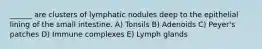 ______ are clusters of lymphatic nodules deep to the epithelial lining of the small intestine. A) Tonsils B) Adenoids C) Peyer's patches D) Immune complexes E) Lymph glands