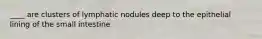 ____ are clusters of lymphatic nodules deep to the epithelial lining of the small intestine