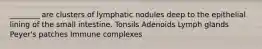 ________ are clusters of lymphatic nodules deep to the epithelial lining of the small intestine. Tonsils Adenoids Lymph glands Peyer's patches Immune complexes