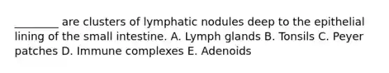 ________ are clusters of lymphatic nodules deep to the epithelial lining of the small intestine. A. Lymph glands B. Tonsils C. Peyer patches D. Immune complexes E. Adenoids