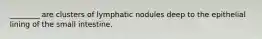 ________ are clusters of lymphatic nodules deep to the epithelial lining of the small intestine.