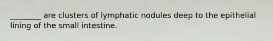 ________ are clusters of lymphatic nodules deep to the epithelial lining of <a href='https://www.questionai.com/knowledge/kt623fh5xn-the-small-intestine' class='anchor-knowledge'>the small intestine</a>.