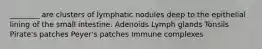 ________ are clusters of lymphatic nodules deep to the epithelial lining of the small intestine. Adenoids Lymph glands Tonsils Pirate's patches Peyer's patches Immune complexes