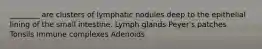 ________ are clusters of lymphatic nodules deep to the epithelial lining of the small intestine. Lymph glands Peyer's patches Tonsils Immune complexes Adenoids