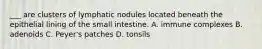 ___ are clusters of lymphatic nodules located beneath the epithelial lining of the small intestine. A. immune complexes B. adenoids C. Peyer's patches D. tonsils