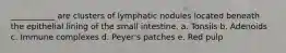 ___________ are clusters of lymphatic nodules located beneath the epithelial lining of the small intestine. a. Tonsils b. Adenoids c. Immune complexes d. Peyer's patches e. Red pulp