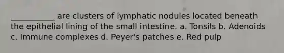 ___________ are clusters of lymphatic nodules located beneath the epithelial lining of <a href='https://www.questionai.com/knowledge/kt623fh5xn-the-small-intestine' class='anchor-knowledge'>the small intestine</a>. a. Tonsils b. Adenoids c. Immune complexes d. Peyer's patches e. Red pulp