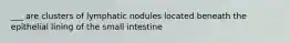 ___ are clusters of lymphatic nodules located beneath the epithelial lining of the small intestine