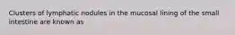 Clusters of lymphatic nodules in the mucosal lining of the small intestine are known as