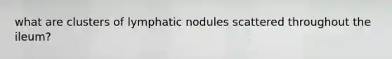 what are clusters of lymphatic nodules scattered throughout the ileum?