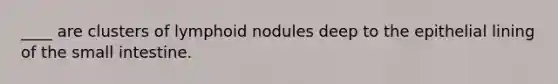 ____ are clusters of lymphoid nodules deep to the epithelial lining of the small intestine.