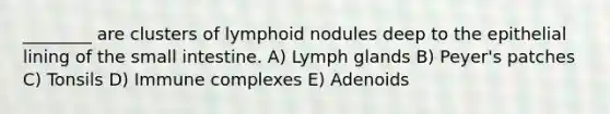 ________ are clusters of lymphoid nodules deep to the epithelial lining of the small intestine. A) Lymph glands B) Peyer's patches C) Tonsils D) Immune complexes E) Adenoids