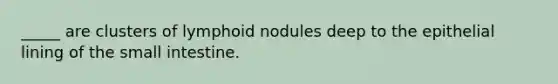 _____ are clusters of lymphoid nodules deep to the epithelial lining of the small intestine.