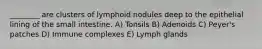 ________ are clusters of lymphoid nodules deep to the epithelial lining of the small intestine. A) Tonsils B) Adenoids C) Peyer's patches D) Immune complexes E) Lymph glands