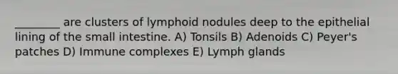 ________ are clusters of lymphoid nodules deep to the epithelial lining of the small intestine. A) Tonsils B) Adenoids C) Peyer's patches D) Immune complexes E) Lymph glands