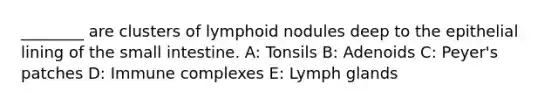 ________ are clusters of lymphoid nodules deep to the epithelial lining of the small intestine. A: Tonsils B: Adenoids C: Peyer's patches D: Immune complexes E: Lymph glands