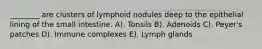 ________ are clusters of lymphoid nodules deep to the epithelial lining of the small intestine. A). Tonsils B). Adenoids C). Peyer's patches D). Immune complexes E). Lymph glands