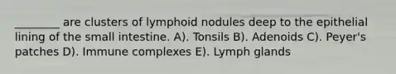 ________ are clusters of lymphoid nodules deep to the epithelial lining of the small intestine. A). Tonsils B). Adenoids C). Peyer's patches D). Immune complexes E). Lymph glands