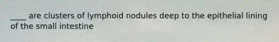 ____ are clusters of lymphoid nodules deep to the epithelial lining of the small intestine